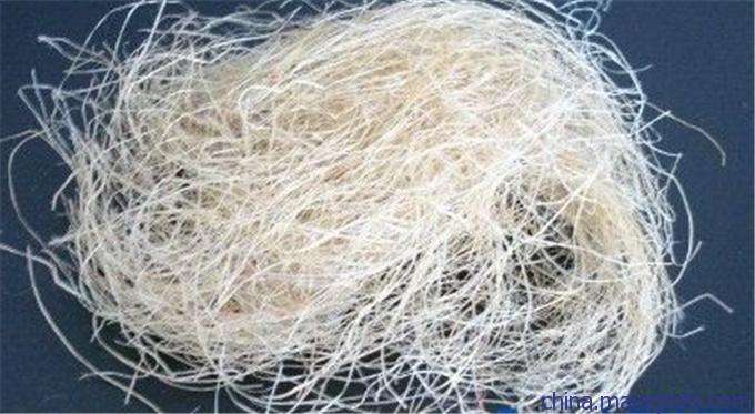 好博(中国)体育智能科技股份有限公司网站